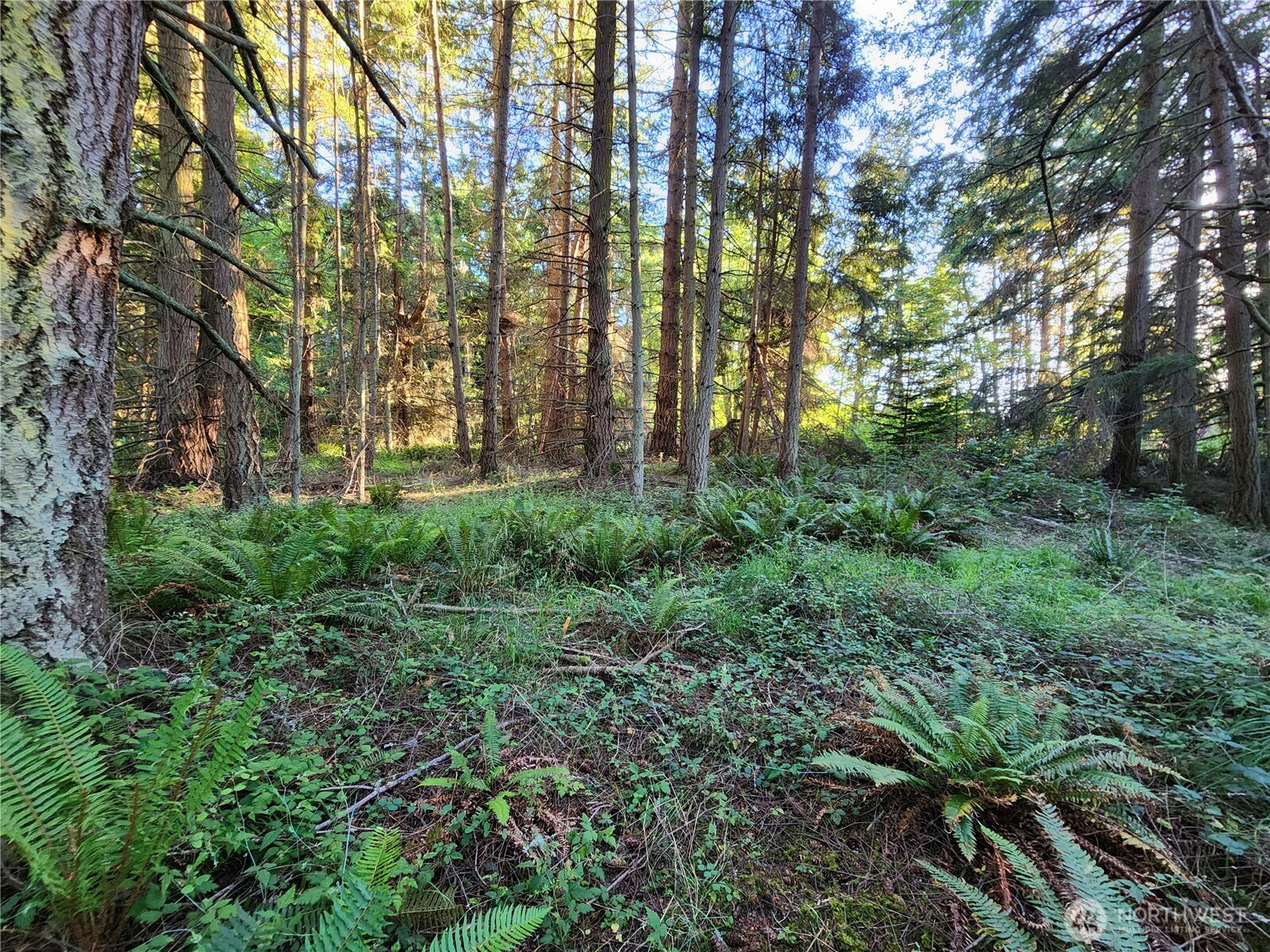 1664 Lancaster Road Freeland, WA 98249 - Photo 10 of 13