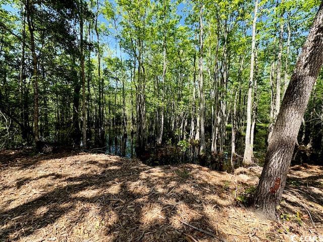 1886 Gemini Circle Conway, SC 29527 - Photo 3 of 10