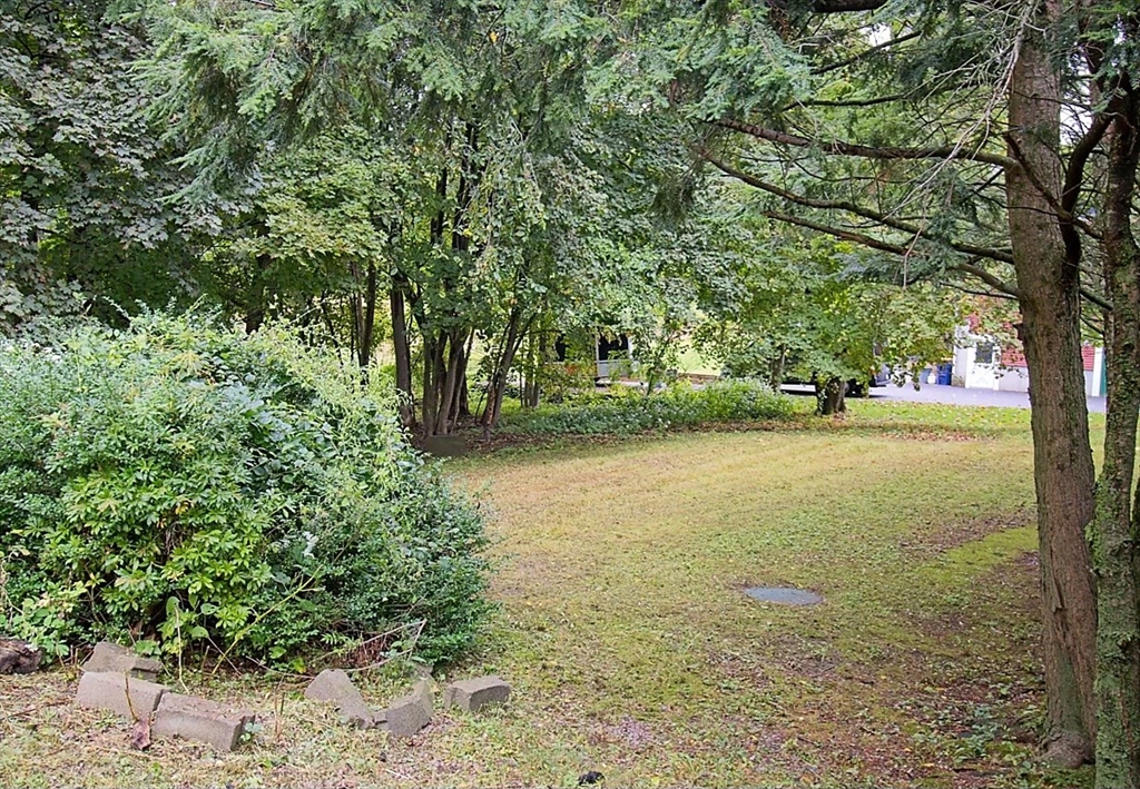 45 Depot Street, Unit 1 Sharon, MA 02067 - Photo 12 of 12 a view of a yard with a tree