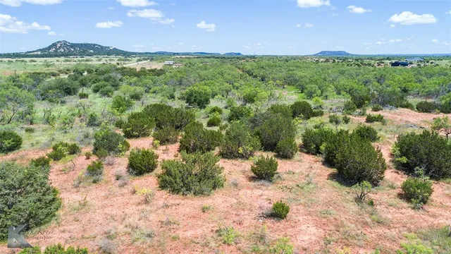 a view of a yard with plants