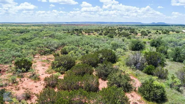 a view of a city with lush green forest