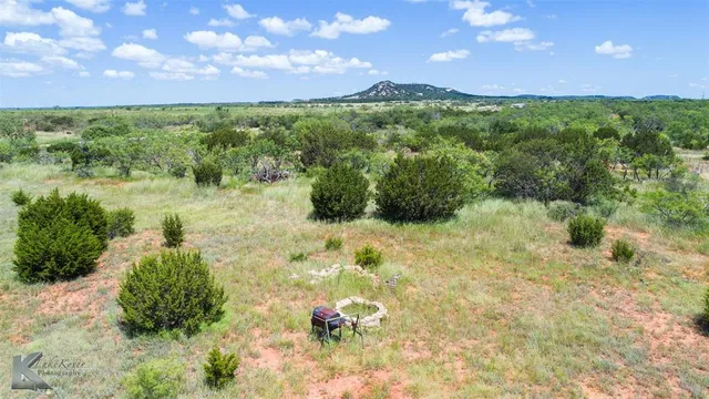 a view of a garden with a building in the background
