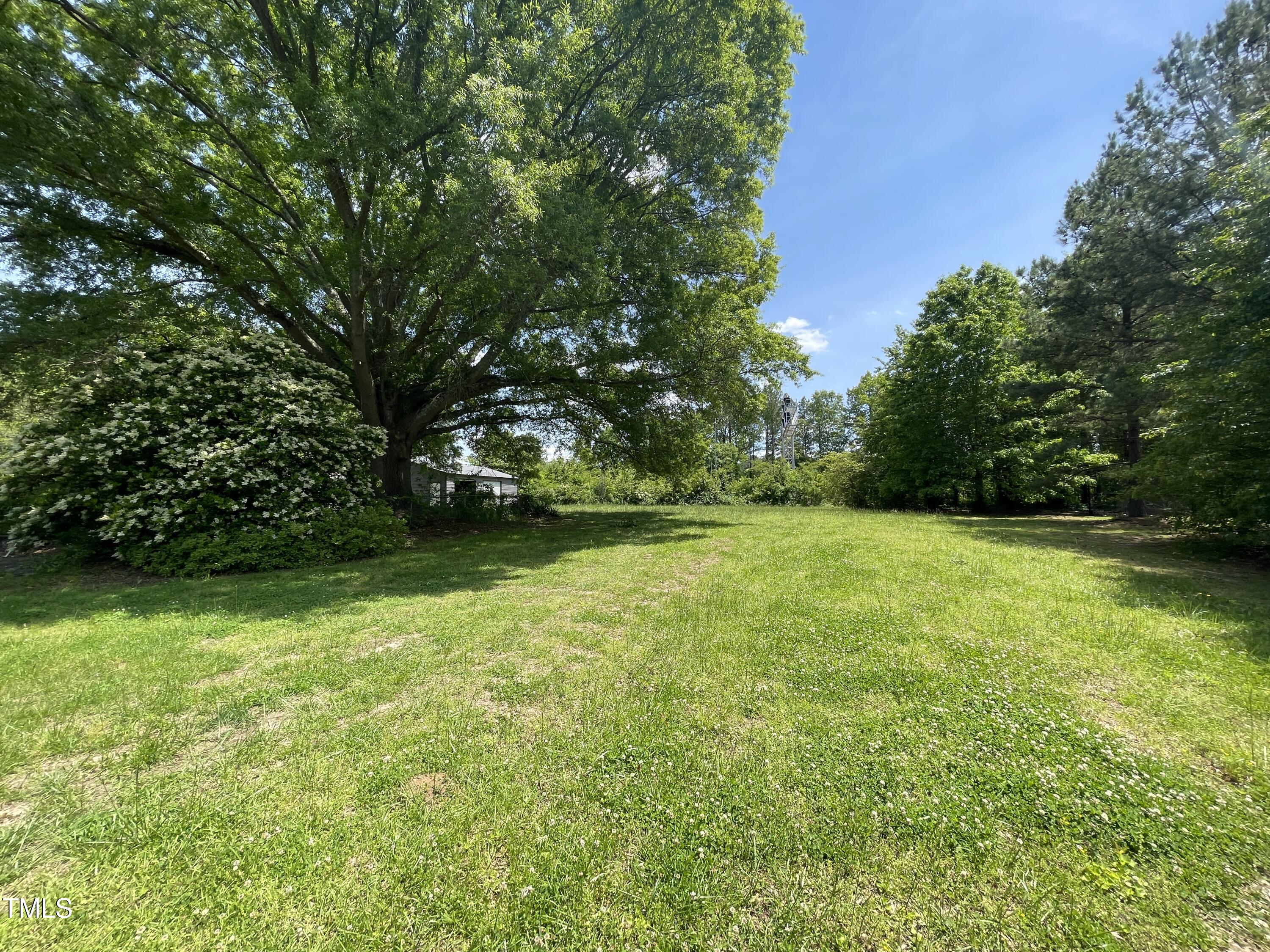 a view of yard with green space