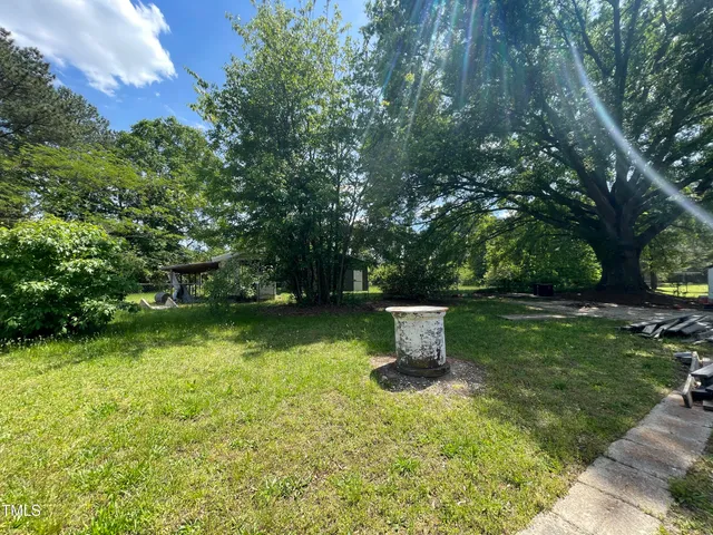 a view of a garden with plants