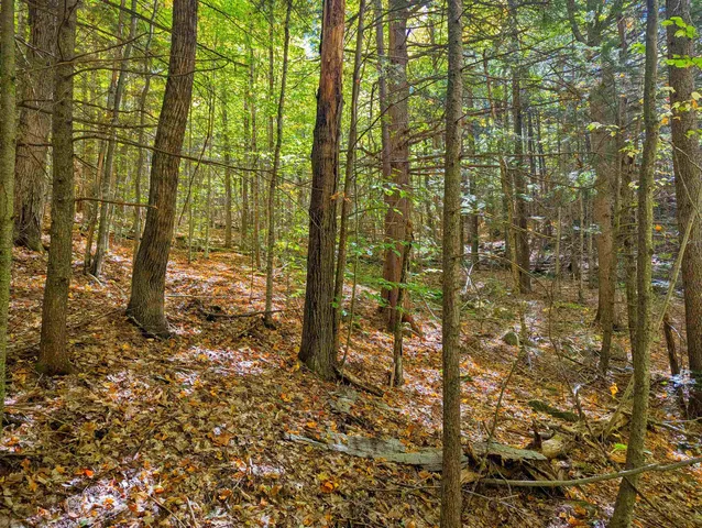 $25,000 | Checkerberry Ridge, Thornton, NH 03285