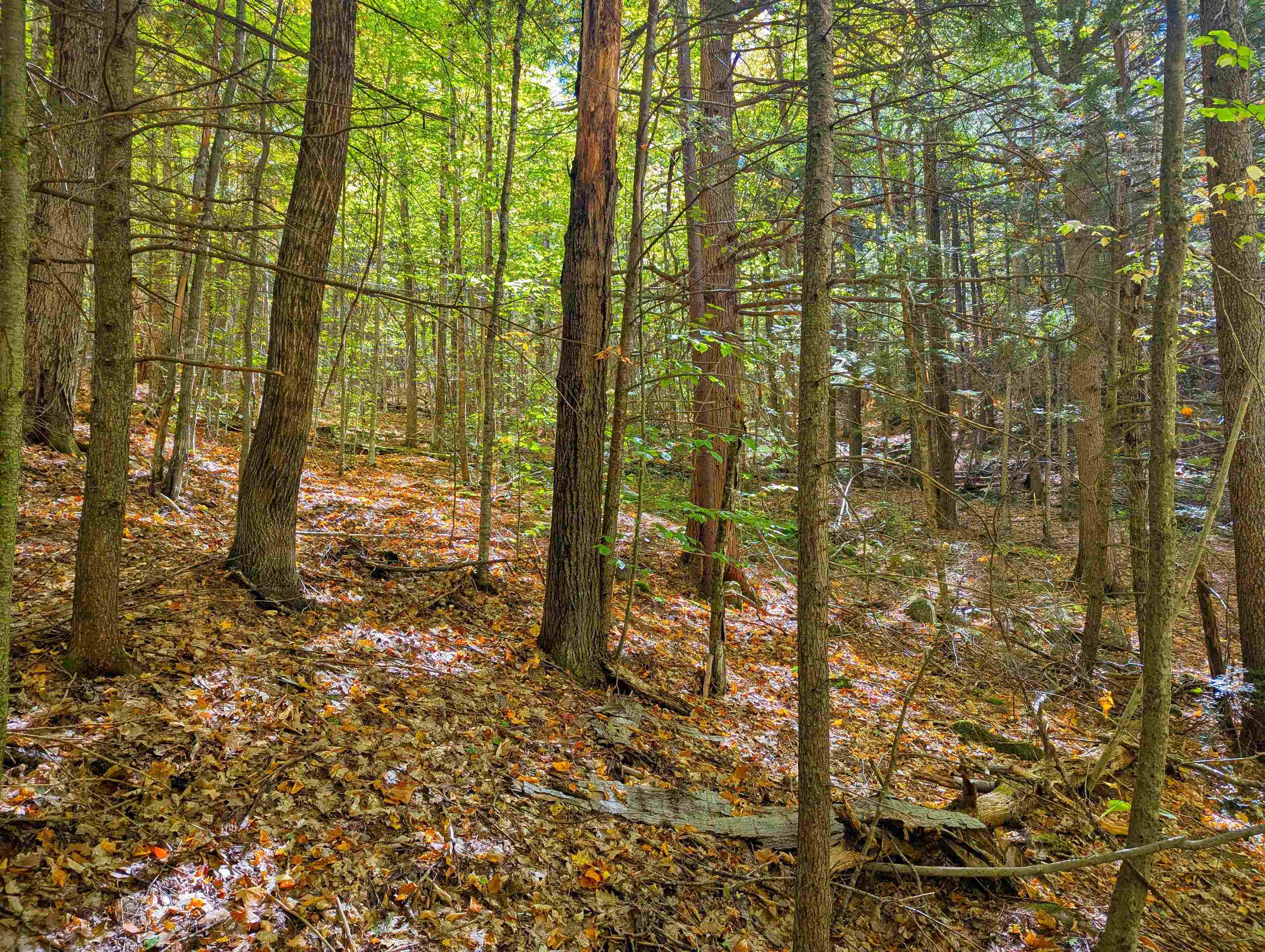 Checkerberry Ridge Thornton, NH 03285 - Photo 11 of 11