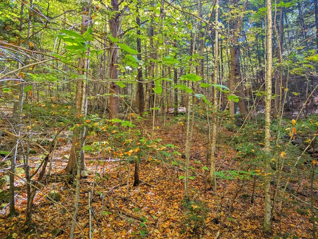 $25,000 | Checkerberry Ridge, Thornton, NH 03285