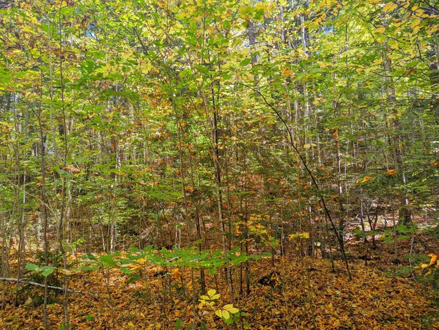 $25,000 | Checkerberry Ridge, Thornton, NH 03285