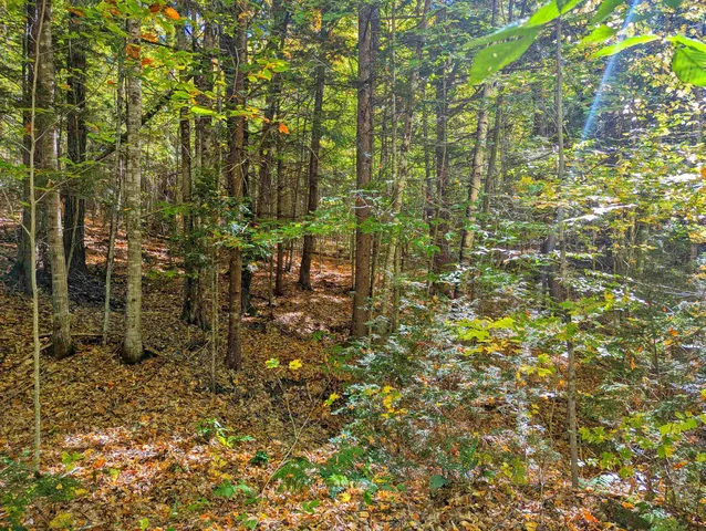 $25,000 | Checkerberry Ridge, Thornton, NH 03285