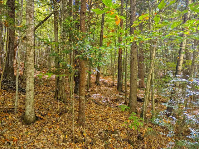 $25,000 | Checkerberry Ridge, Thornton, NH 03285