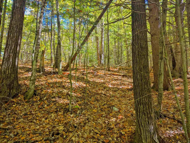 $25,000 | Checkerberry Ridge, Thornton, NH 03285