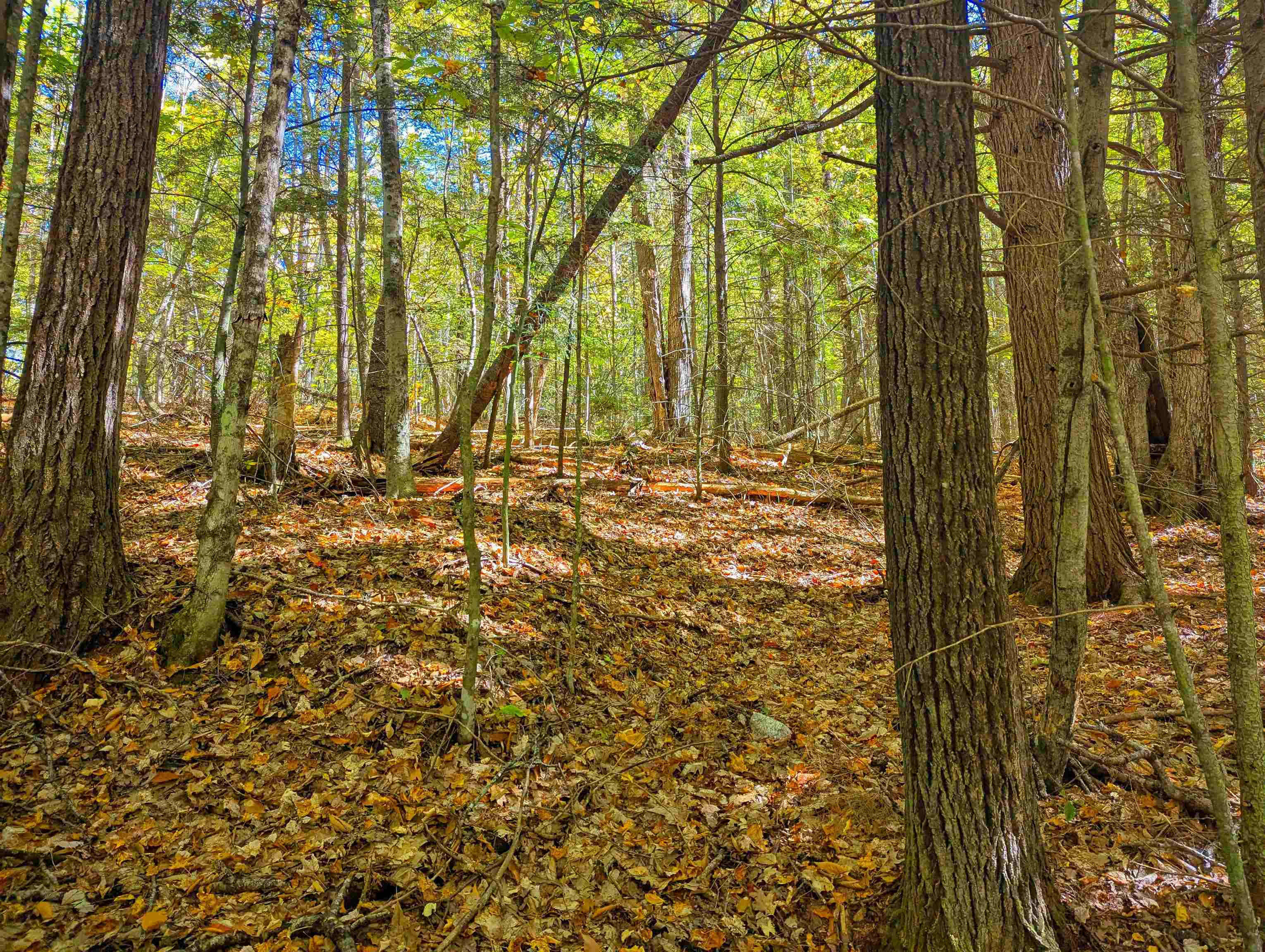 Checkerberry Ridge Thornton, NH 03285 - Photo 10 of 11