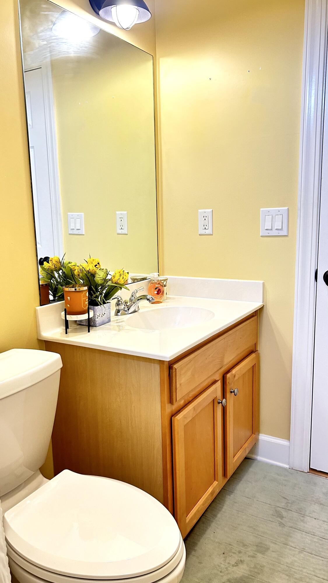 2556 River Lake Walk Mount Pleasant, SC 29466 - Photo 68 of 97 68