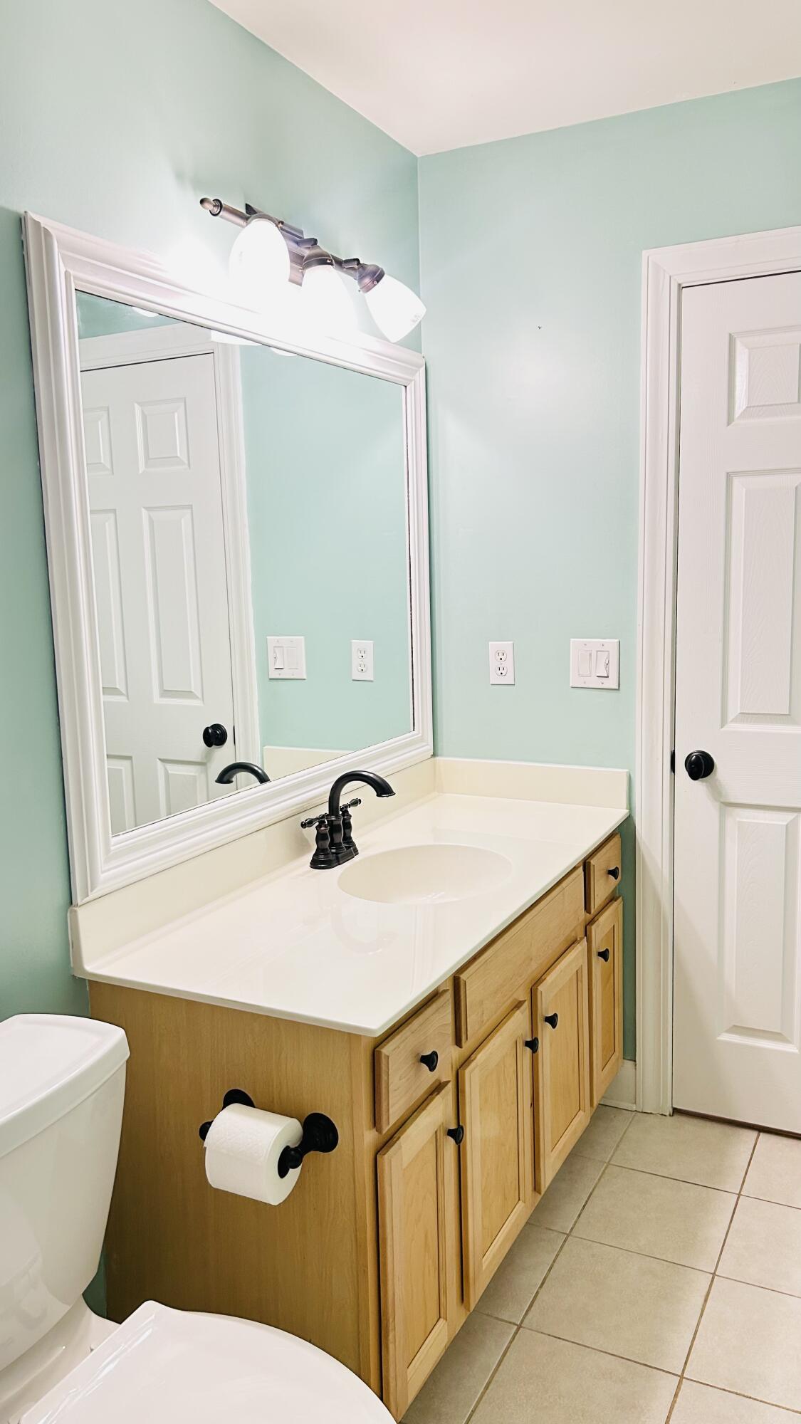 2556 River Lake Walk Mount Pleasant, SC 29466 - Photo 73 of 97 73