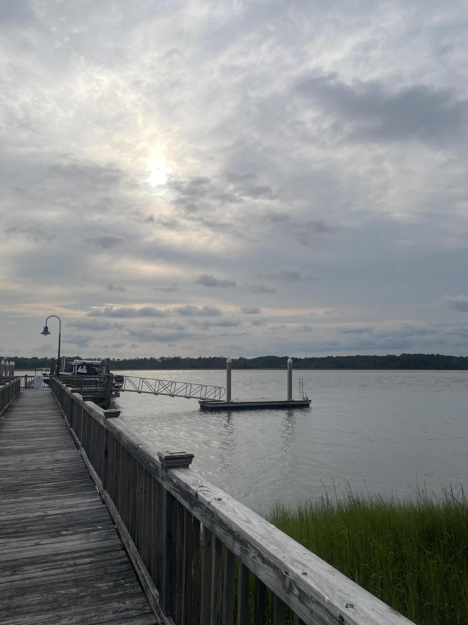 2556 River Lake Walk Mount Pleasant, SC 29466 - Photo 93 of 97 93