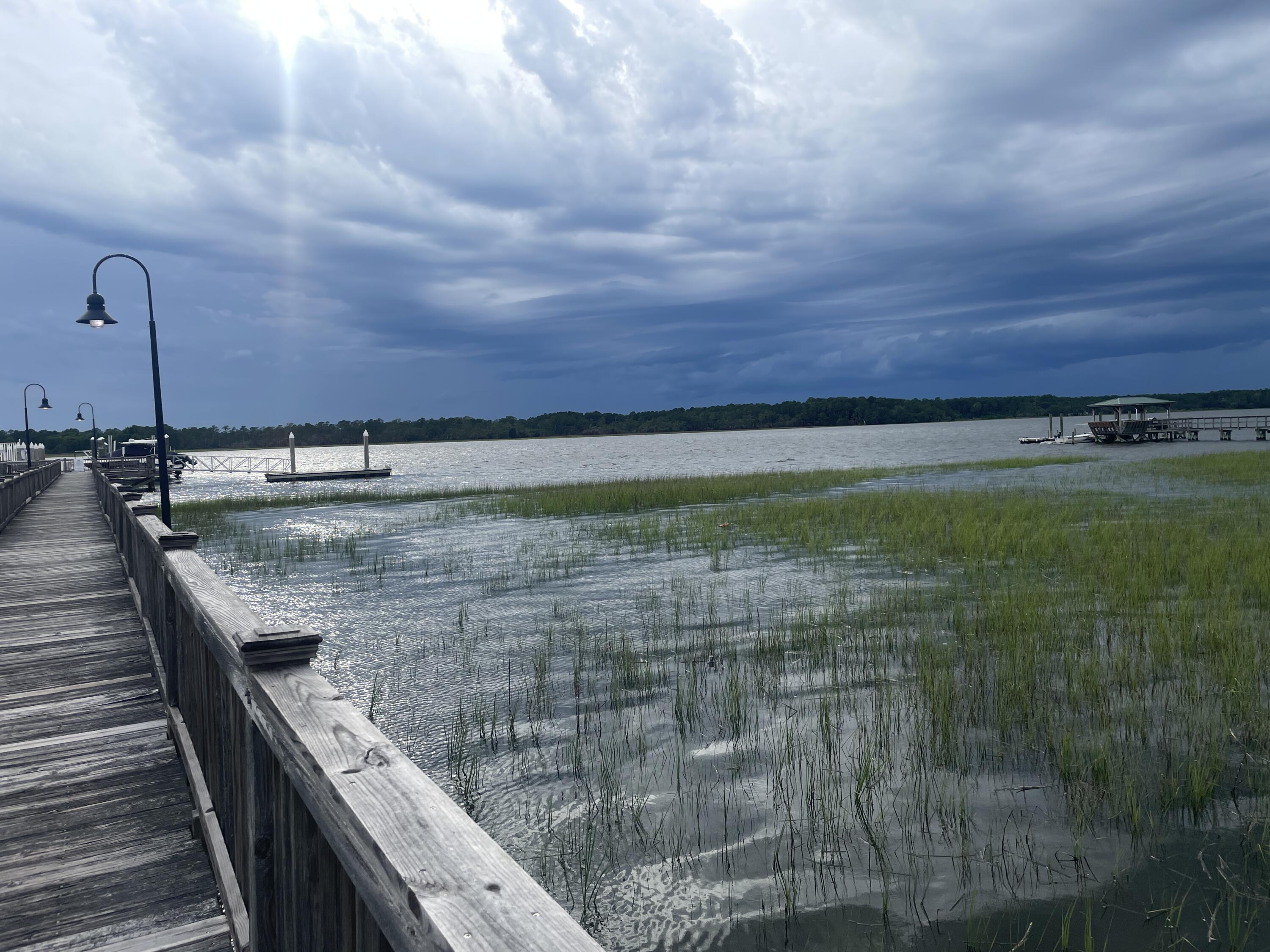 2556 River Lake Walk Mount Pleasant, SC 29466 - Photo 94 of 97 94