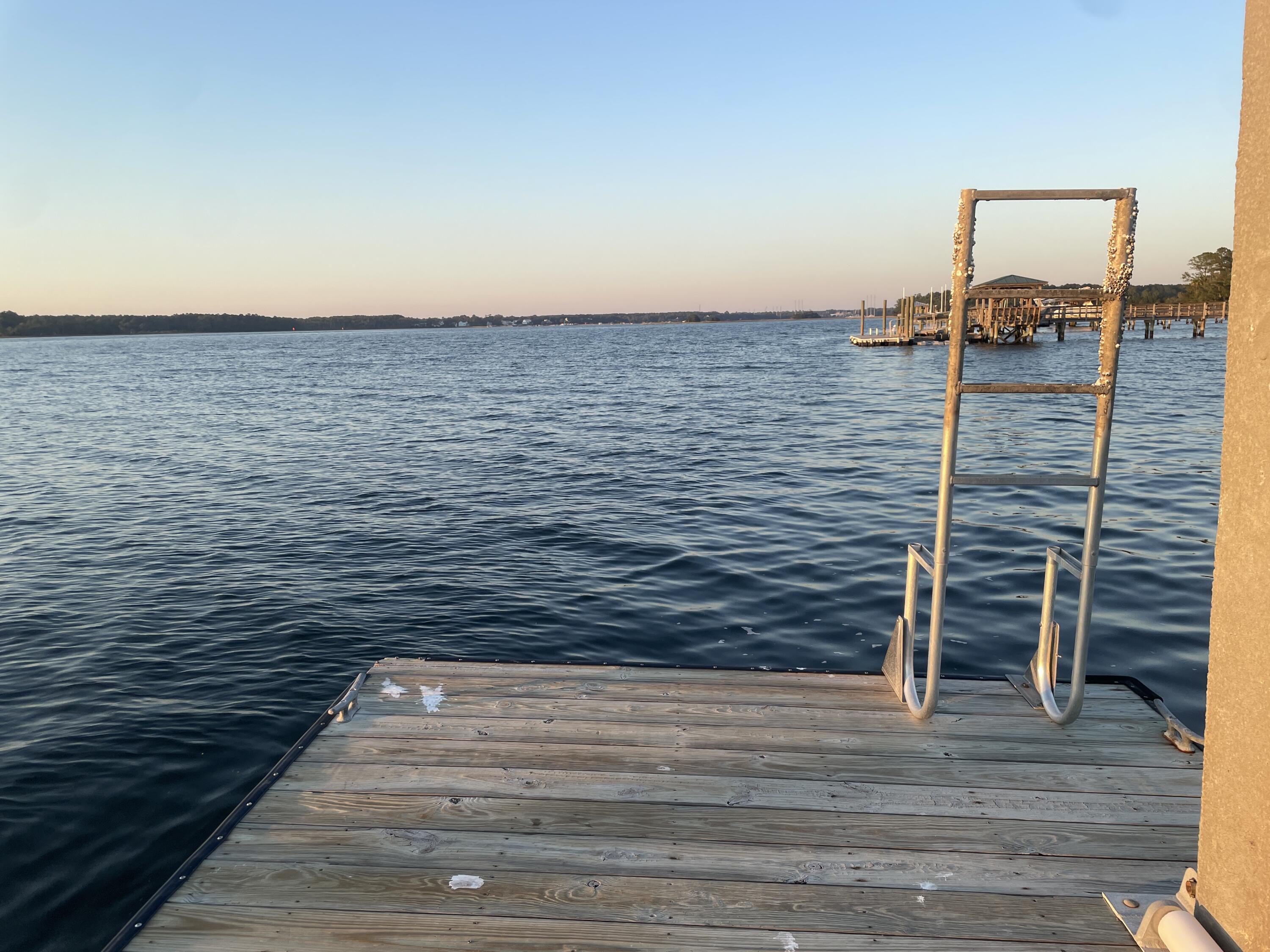 2556 River Lake Walk Mount Pleasant, SC 29466 - Photo 95 of 97 95