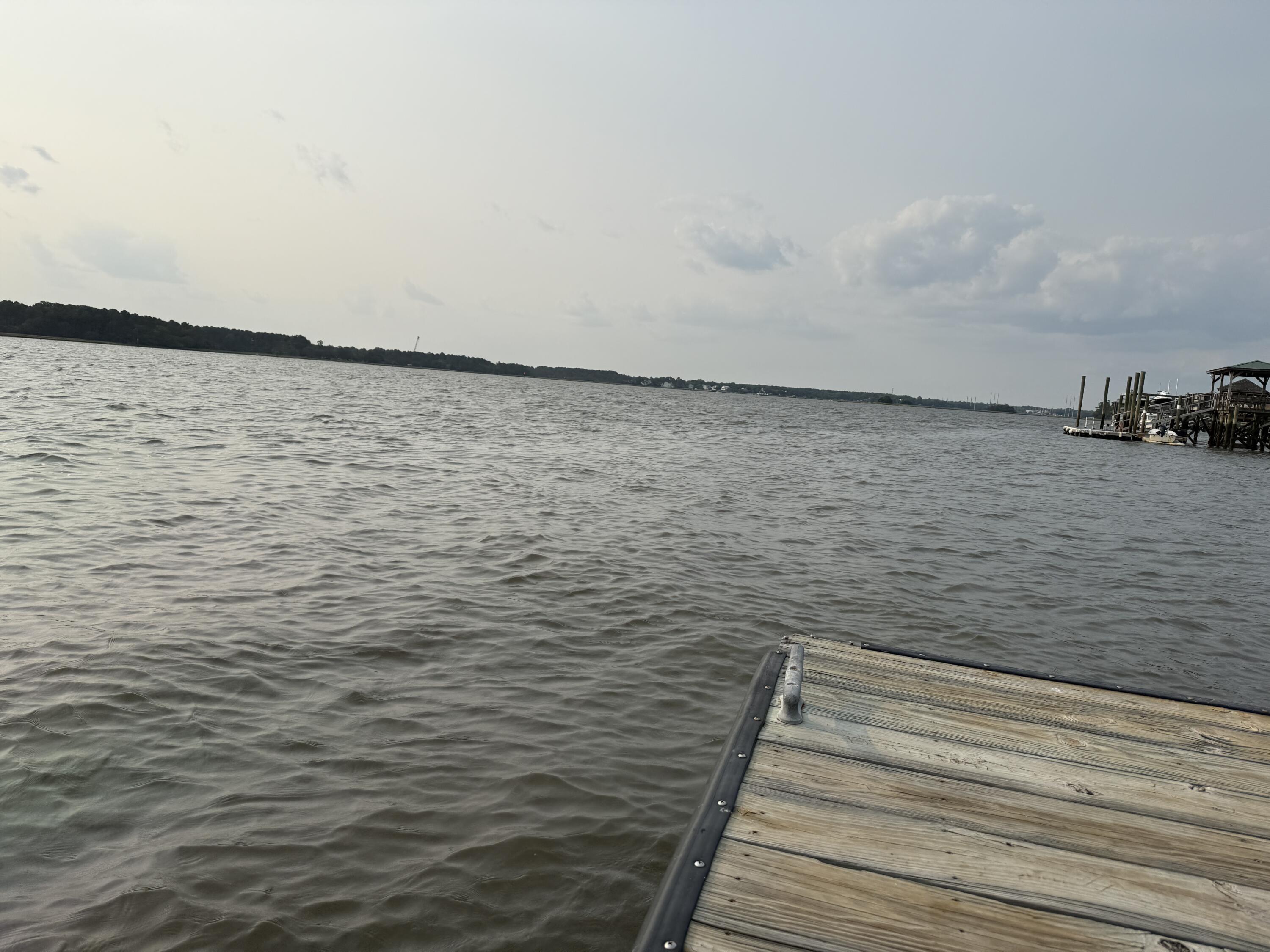 2556 River Lake Walk Mount Pleasant, SC 29466 - Photo 96 of 97 96