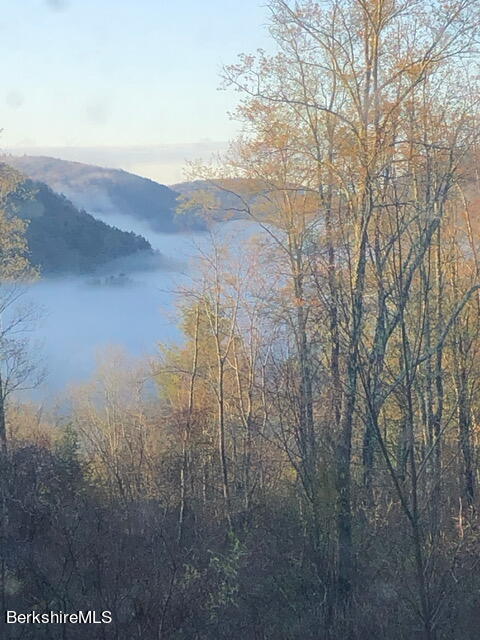 8 Sandisfield Road Sandisfield, MA 01255 - Photo 30 of 35 Fog off deck