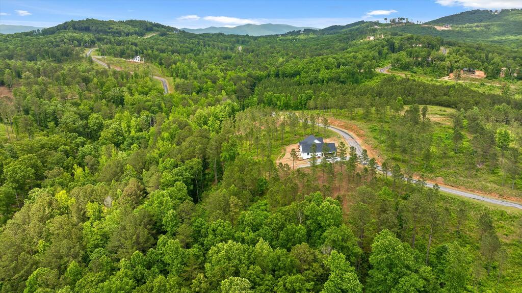 Lot 331 Twisted Oak Road Talking Rock, GA 30175 - Photo 18 of 38 Gallery Image 18