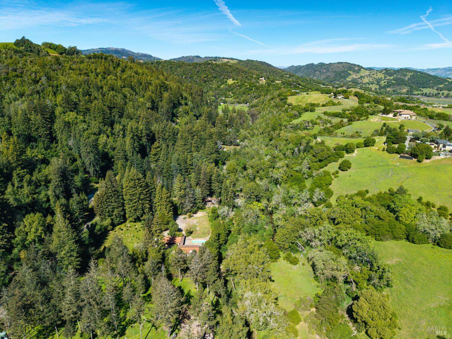 3320 Redwood Road Napa, CA 94558 - Photo 46 of 57 a view of a lush green forest with a mountain