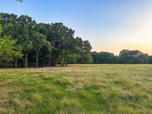 a view of a field of grass and trees