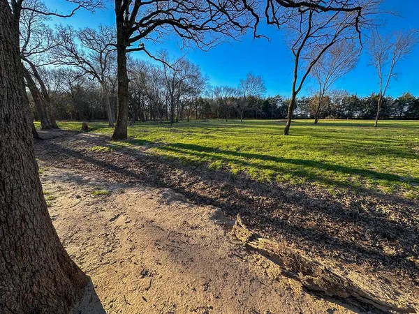 a view of a grassy field with trees