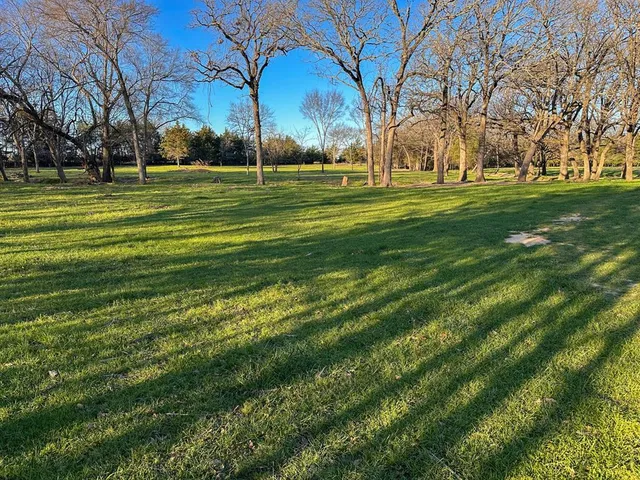 a view of a trees in a park
