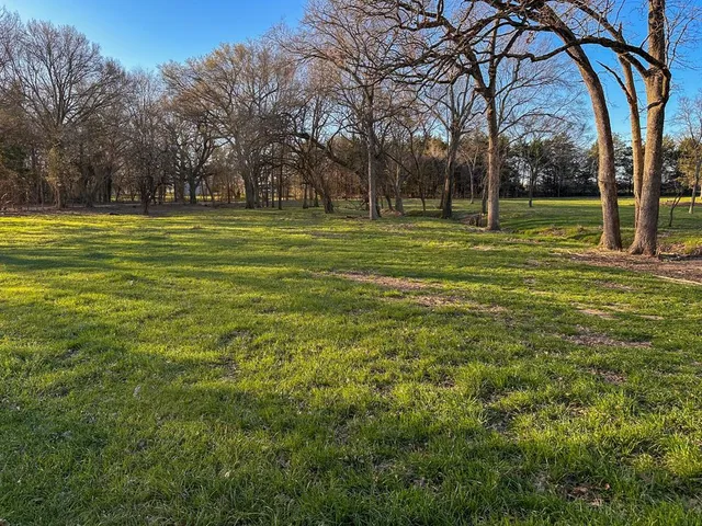 a view of a yard with large trees