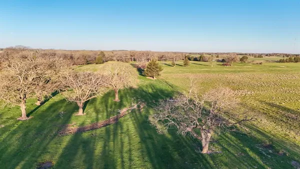 a view of a park with large trees