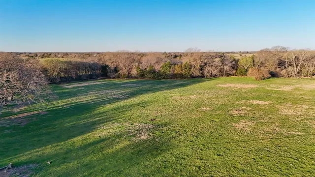 a view of a field with an trees