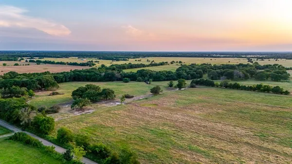 a view of a yard with a tree