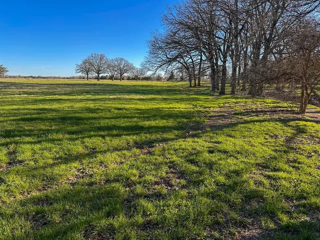 a big yard with lots of green space