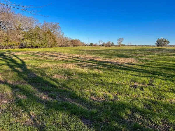 a big yard with lots of green space