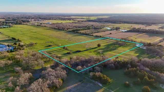 a view of a grassy field with trees