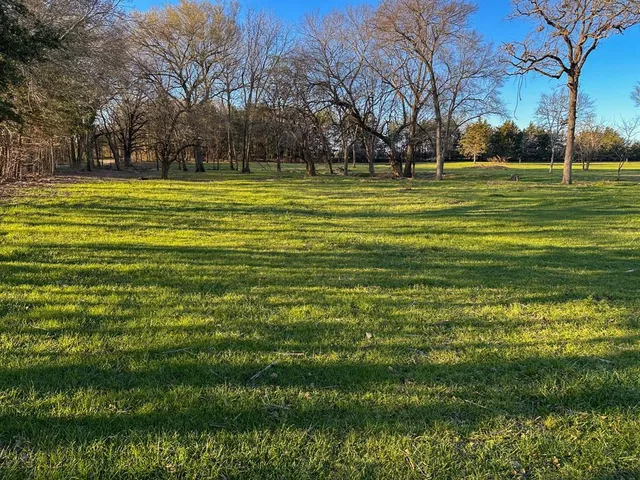 a view of a park with large trees