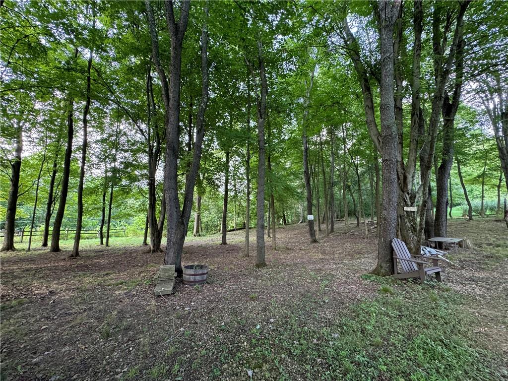 796 Hoover Road New Castle, PA 16101 - Photo 43 of 43 a view of outdoor space with trees all around