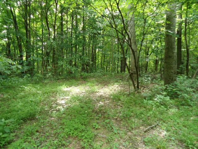 5 52 Star Point Road Celina, TN 38551 - Photo 8 of 29 Gallery Image 8