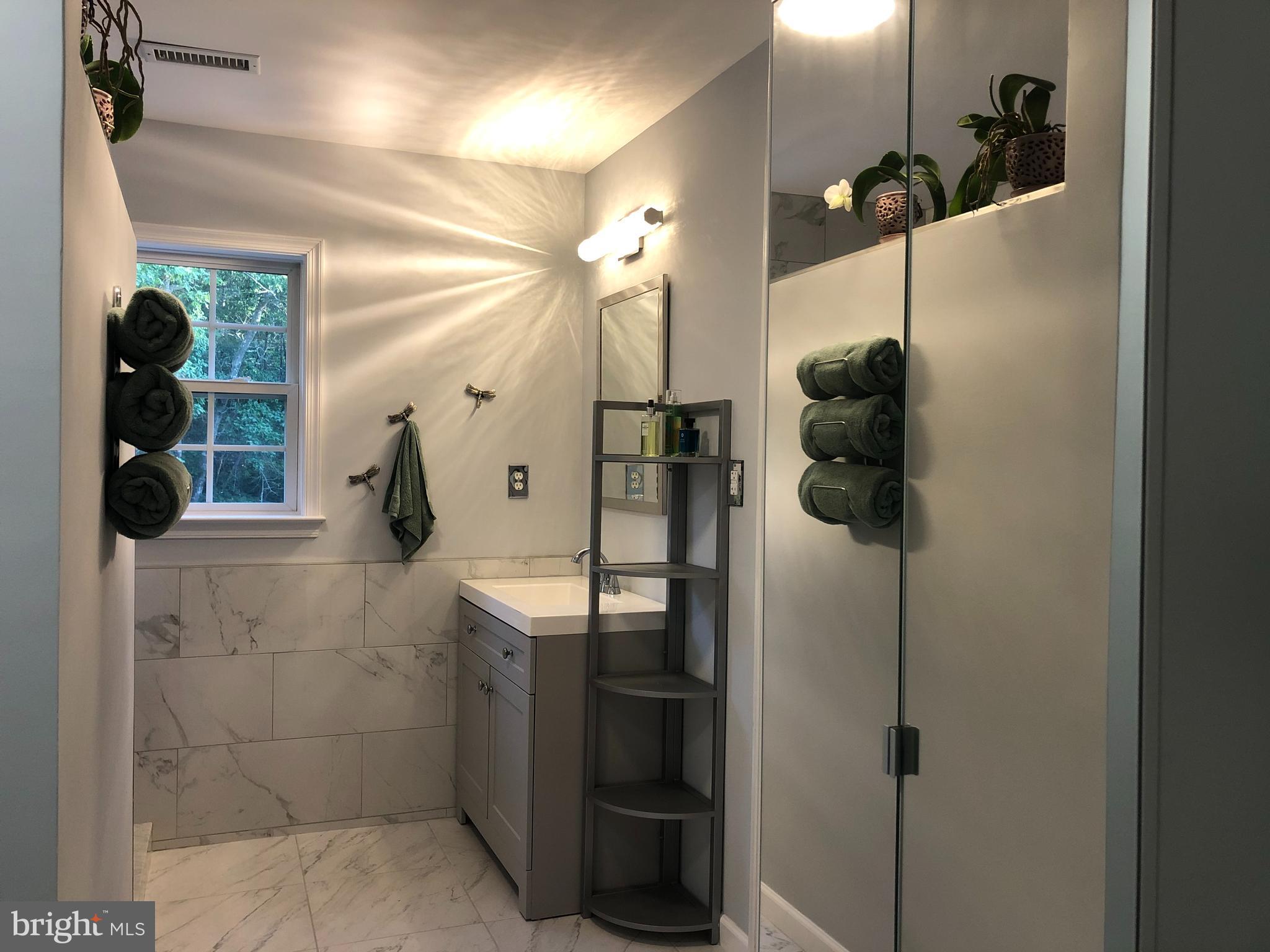 4575 Courtneys Corner Road Sumerduck, VA 22742 - Photo 67 of 145 Large cabinet and all new bathroom fixtures