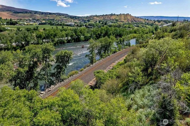 a view of a lush green field with lots of flower in it