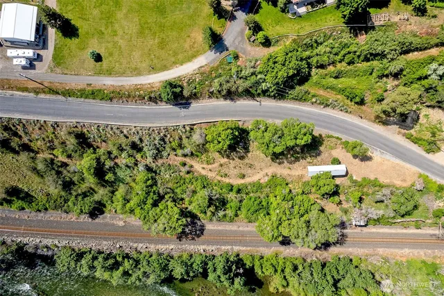 a view of a garden with a lot of flower plants