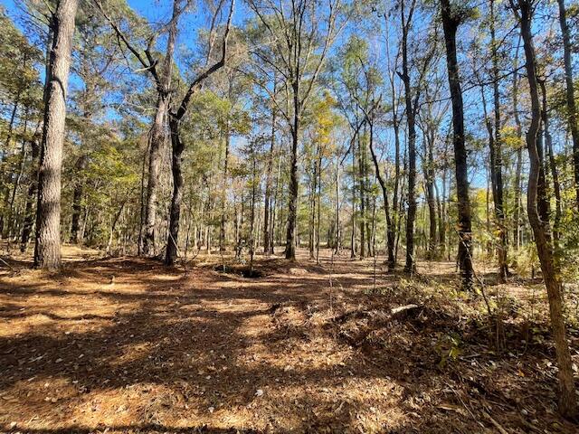 5 Fish Road Ridgeville, SC 29472 - Photo 13 of 13 IMG_6200
