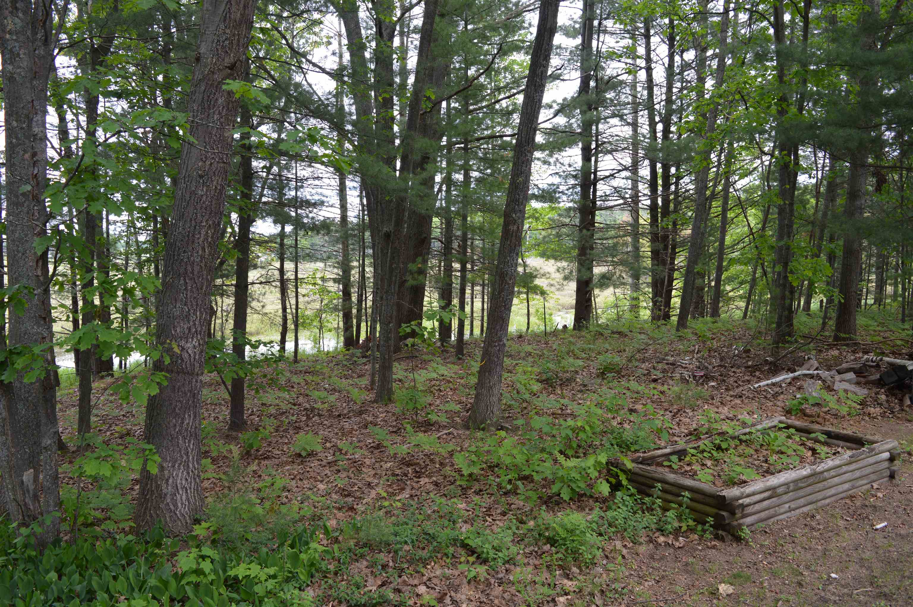 4921 Deerfield Road Kalkaska, MI 49646 - Photo 24 of 56 1900839-23.JPG