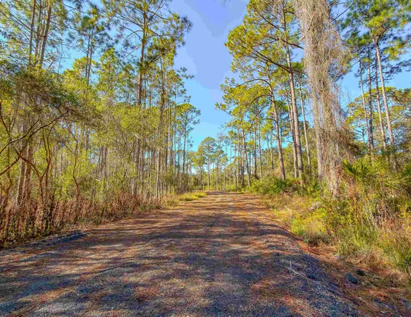 $84,000 | 120 Bay Magnolia Court, Carrabelle, FL 32322