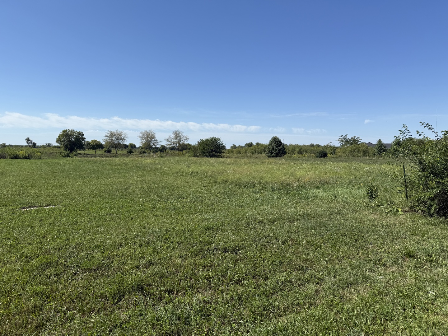 Lot 116-sec Lot 116-sec 1-33-6 Country Club Lane Morris, IL 60450 - Photo 3 of 8 a view of a green field with lots of bushes