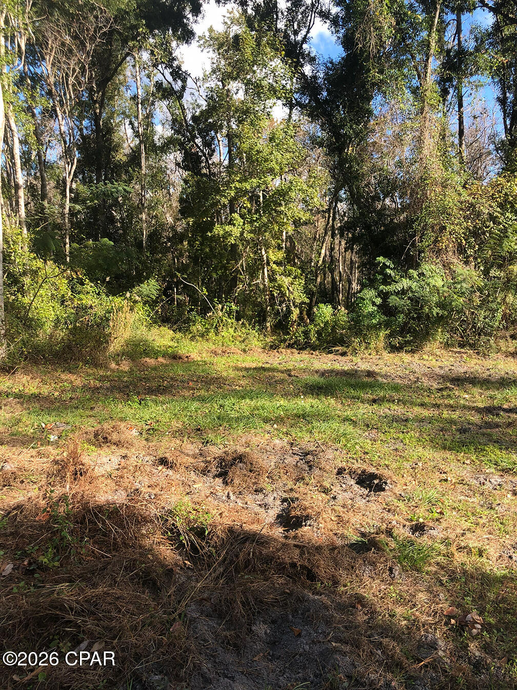 7322 Max Fleming Road Wewahitchka, FL 32465 - Photo 5 of 9