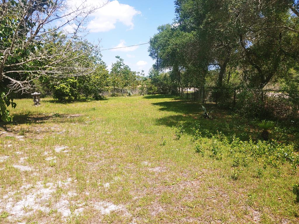 1847 Lighthouse Road Carrabelle, FL 32322 - Photo 29 of 66 Gallery Image 29