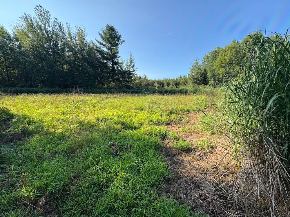 East Procunier Road Harrisville, MI 48740 - Photo 46 of 78 Gallery Image 46