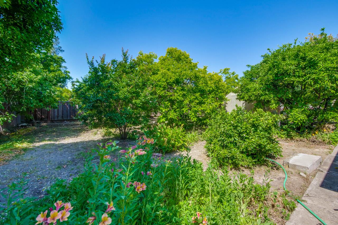 2738 Cramer Circle San Jose, CA 95111 - Photo 20 of 63 a backyard of a house with lots of green space