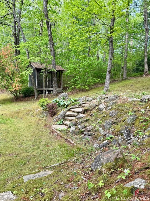 3517 Duncan Bridge Road Cleveland, GA 30528 - Photo 48 of 52